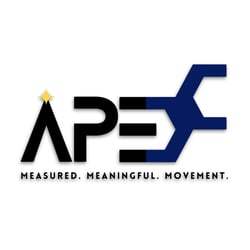 APEX LOGO(17)
